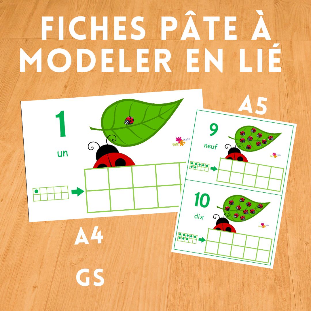 Fiches pâte à modeler bébés cocci Ms-Gs